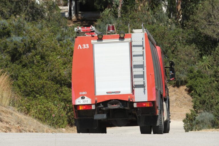 Περιορίστηκε η φωτιά στο Νεοχώρι Πηλίου- Ένα άτομο στο νοσοκομείο